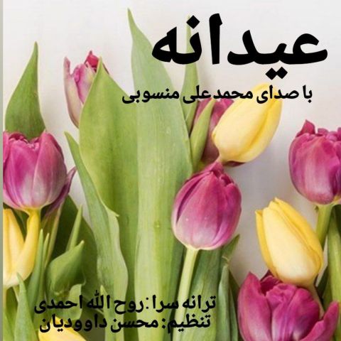 دانلود آهنگ محمد علی منسوبی به نام عیدانه